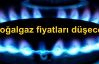 Doğalgaz fiyatları düşecek