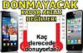 Donmayacak kadar akıllı değil!