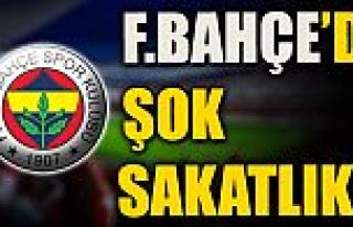 Fenerbahçe'de sakatlık şoku!