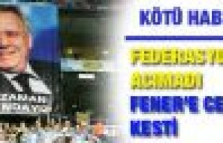 Fenerbahçe'ye TFF cezayı kesti! ...