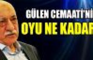 Gülen Cemaati'nin oyu ne kadar?