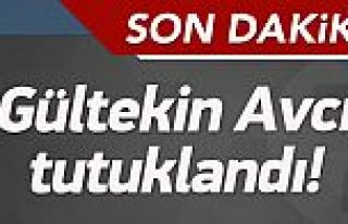 Gültekin Avcı tutuklandı