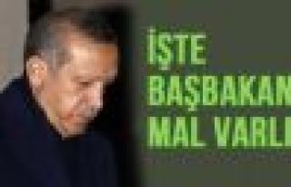 İşte Başbakan Erdoğan'ın malvarlığı