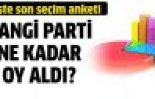 İşte en kapsamlı seçim anketi