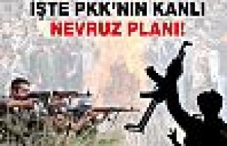 İşte PKK'nın kanlı Nevruz planı