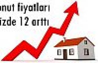 Konut fiyatları yüzde 12 arttı