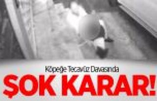 Köpeğe Tecavüz Davasında Şok Karar!