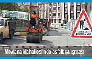 Mevlana Mahallesi’nde asfalt çalışması