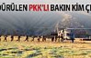 Öldürülen PKK'lı bakın kim çıktı?