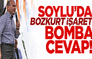 Süleyman Soylu'dan Bozkurt İşaretine Bomba Cevap