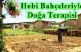 Sultangazi'de Hobi Bahçeleriyle Doğa Terapisi