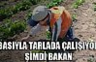 Tarlada çalışıyordu şimdi Bakan!