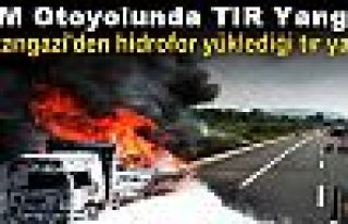 TEM Otoyolunda TIR Yangını