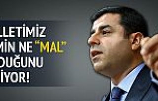 Yalçın Akdoğan'dan Demirtaş'a 'mal' cevabı!