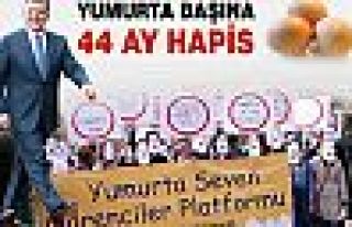 Yumurta başına 44 ay hapis!